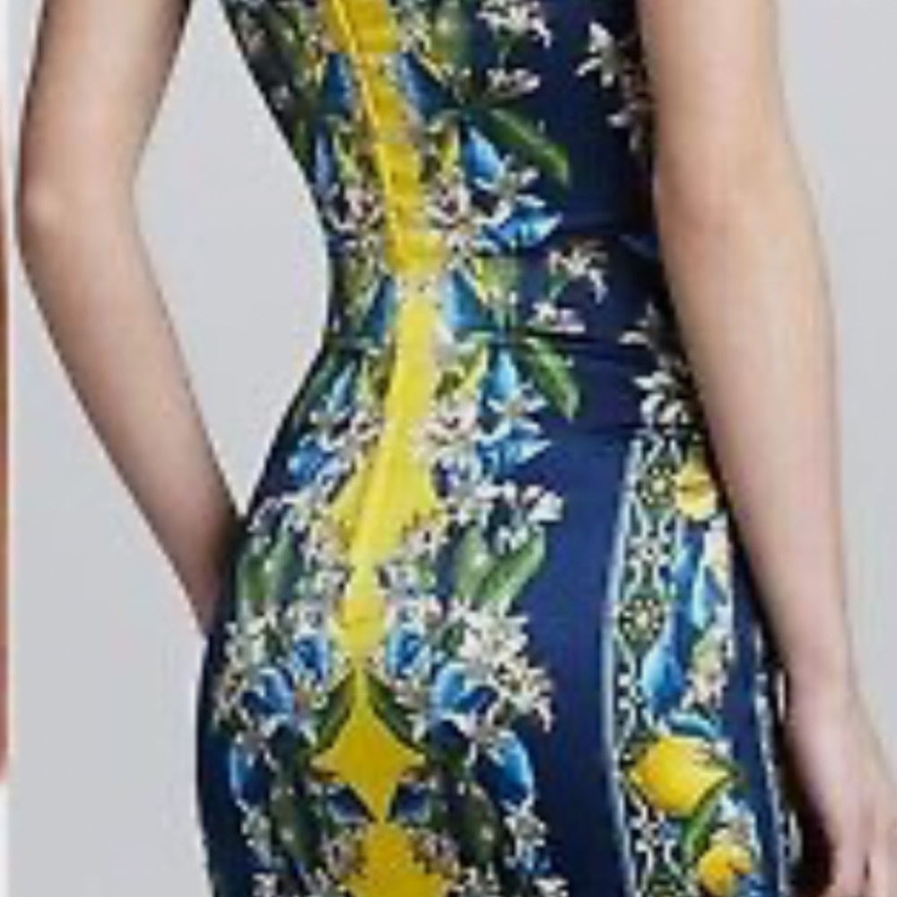 DOLCE & GABBANA  Dress AUTHENTIC Rare Gorgeous in Perfect Condition. 40, 4,6 - Picture 6 of 14